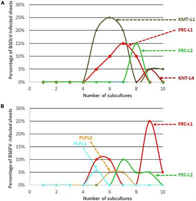 Risk Assessment of Infectious Endogenous Banana Streak Viruses in Guadeloupe